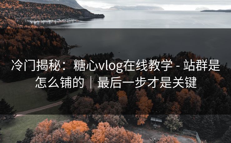冷门揭秘：糖心vlog在线教学 - 站群是怎么铺的｜最后一步才是关键